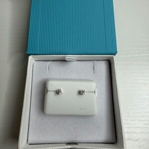 925 Sterling Silver Moissanite Stud Earrings